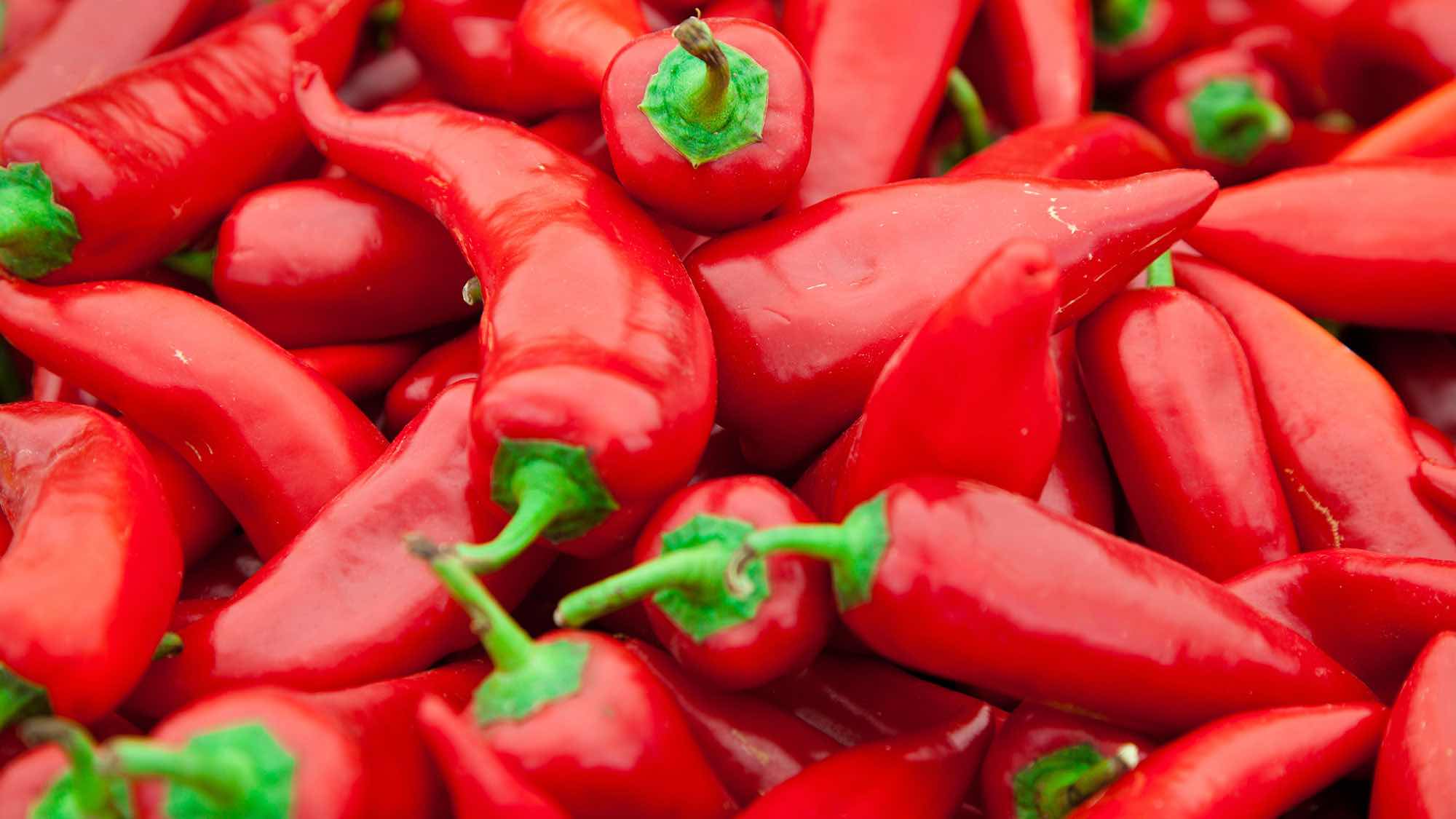 Papryka Chili Papryka Chili