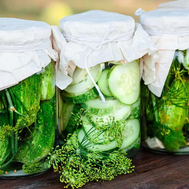 zelazne-zasady-kiszenia-800x800-v1