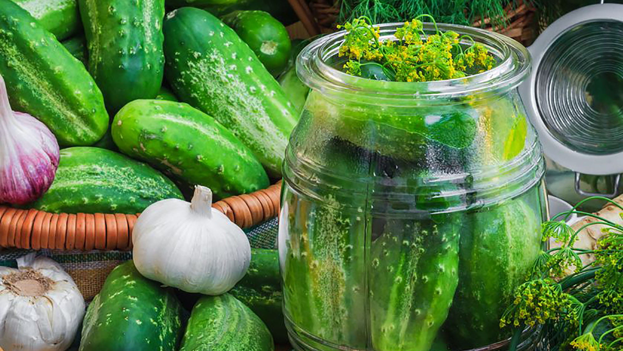 Ogórki małosolne - przepis Kamis