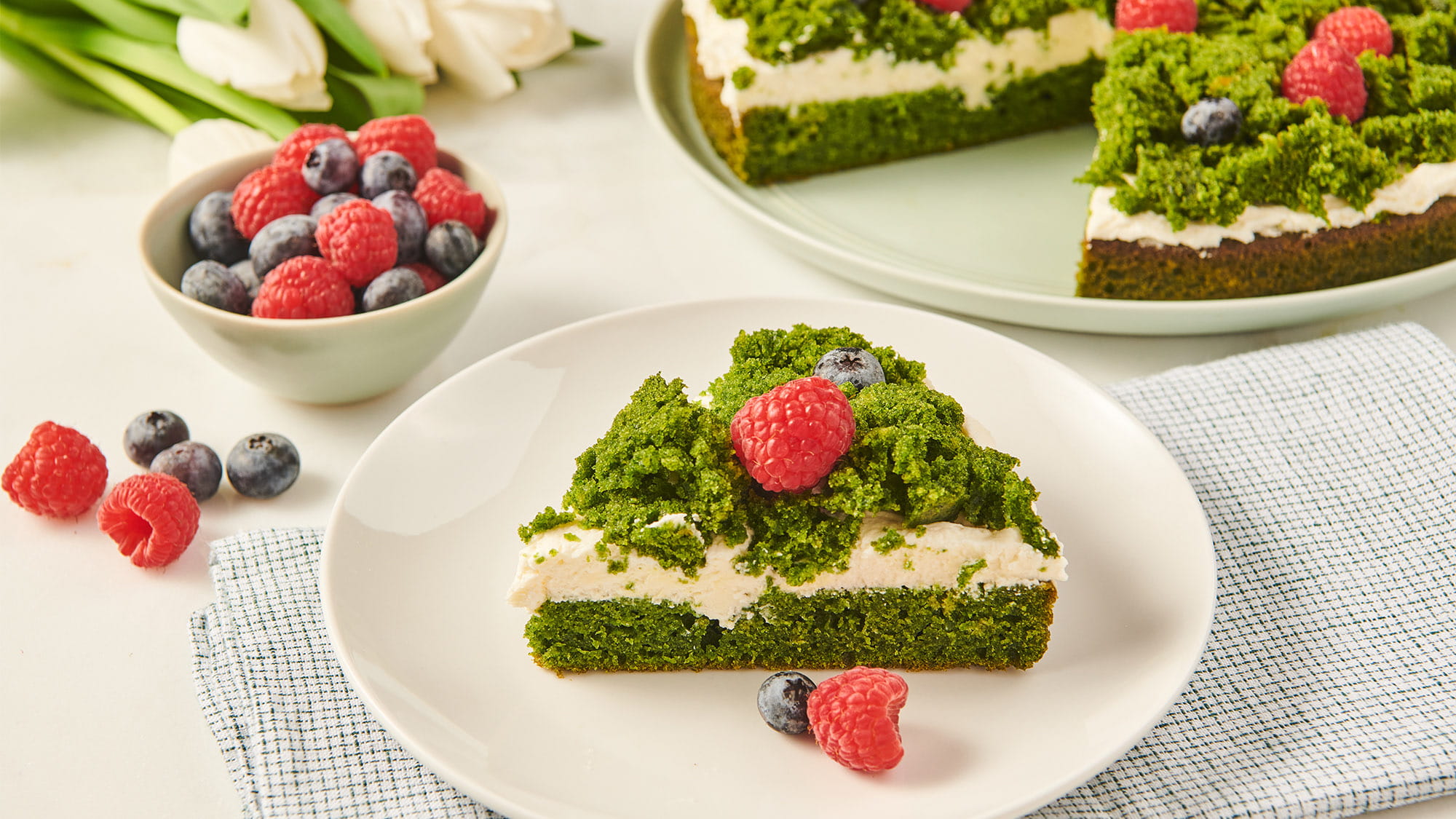 forest_moss_cake_77217_2000x1125